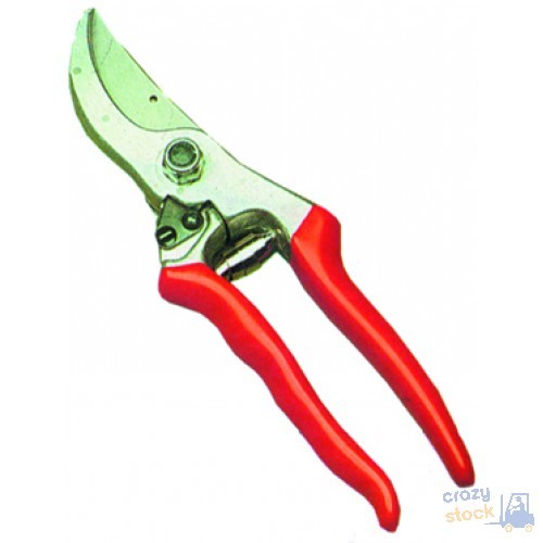 Sécateur pour taille - sécateur, felco