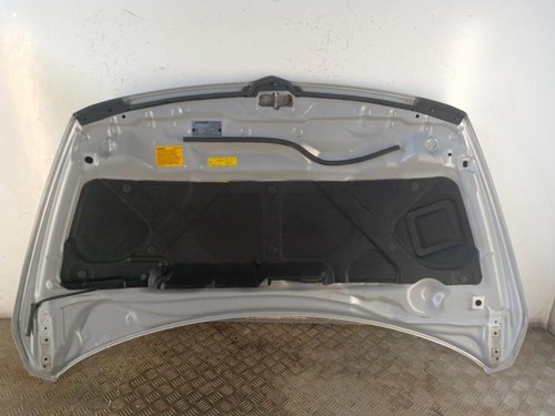 Capot mitsubishi grandis - mitsubishi,