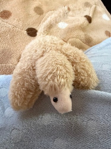 Auteur peluche fourmilière - auteur,,
