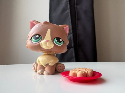 Petshop chat persan - , n°371