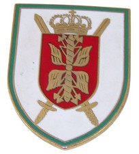 Insigne Air Force General