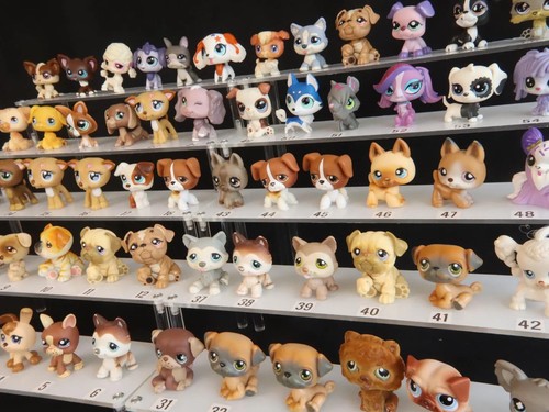 Chiots lps nombreux - lps,, de