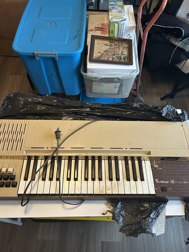 Bontempi electric chord - electric,