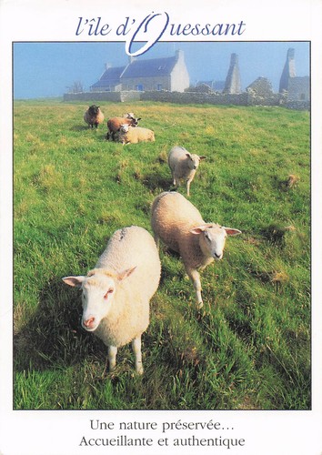 Ouessant ile - ile, d