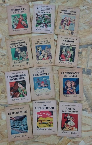 Lot livres anciens - livres,