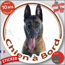 Berger Belge Malinois, sticker