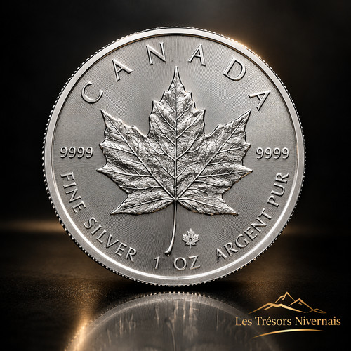 Pièce argent 1oz - argent, canada