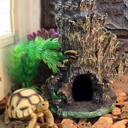 Reptile vivarium décoration - vivarium,