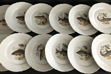 12 Porcelain Fish Serving Plates Germany - Schumann Arzberg Bavaria