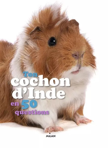 Ton cochon inde 50 - ton,