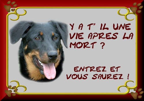 Plaque garde beauceron - plaque,