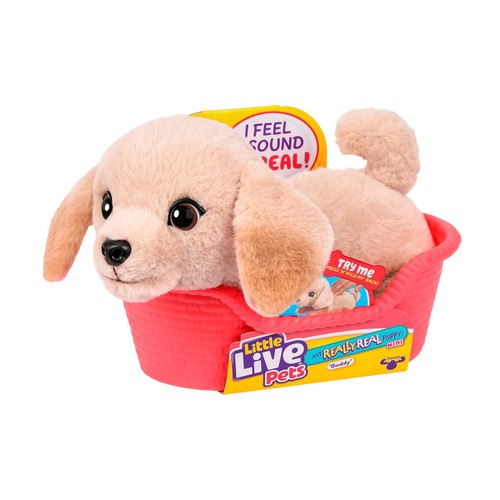 Really real puppy - real,