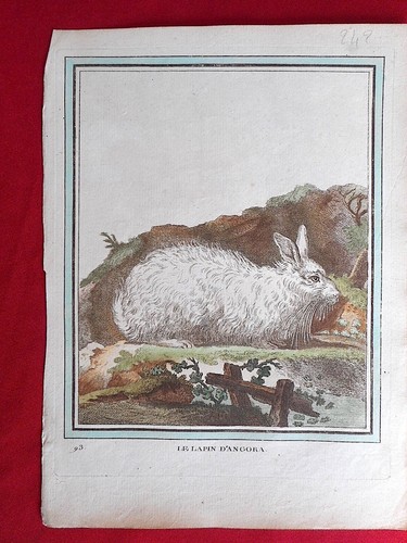 242 gravure xviiie histoire - 242,
