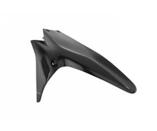 Garde-boue arrière LIGHTECH. Carbone CARD1020 Ducati Panigale 1199 2012 2017