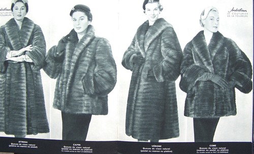Beau catalogue fourrures - beau,