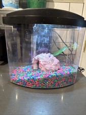 Aqueon LED MiniBow 1 Desktop Aquarium Kit Black - 1 gallon with accessories 