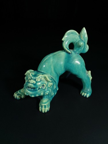 Très beau chien - , fô