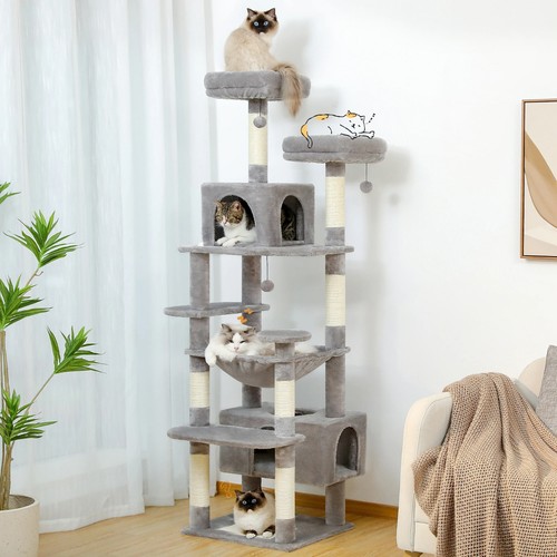 Grand arbre chat tour - arbre,