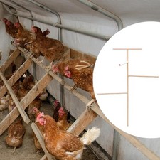 Support de perchoir en bois