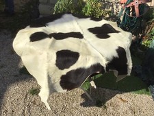 SUPERBE  PEAU DE VEAU VACHE 145 cm x 120 CM  TAPIS DÉCO CHALET MONTAGNE 