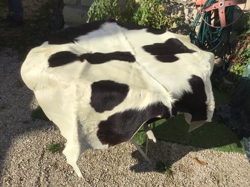 Superbe peau veau vache - superbe,