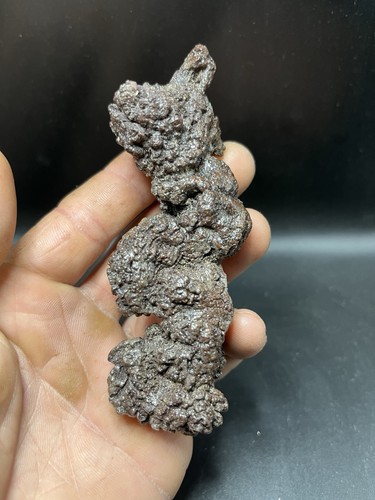 Cm coprolite poo - /,
