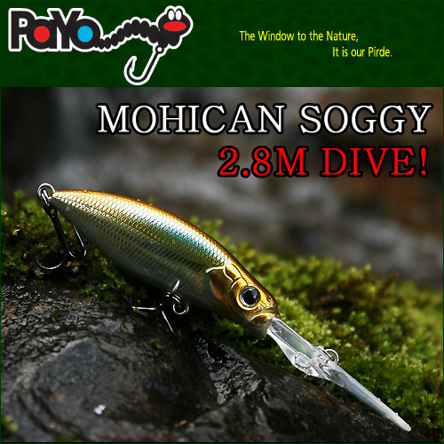 Payo poisson nageur - payo, mohican