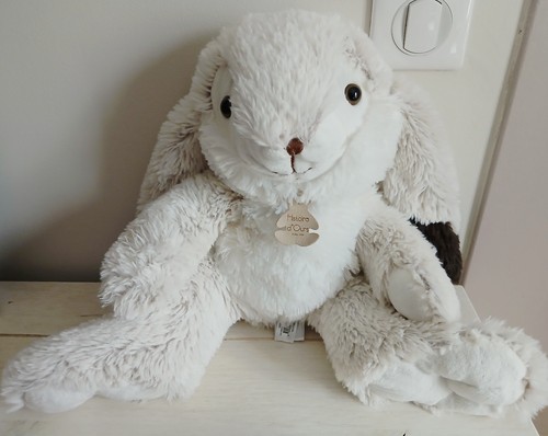 Histoire ours grand - grand, lapin