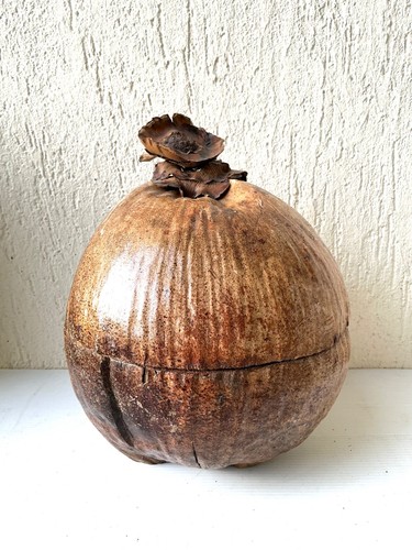 Noix coco artisanale seau - noix,