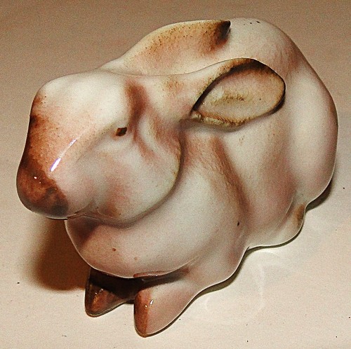Magnifique lapin blanc