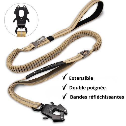 Laisse chien anti choc - chien, en