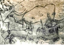 Carte Postale - 24 - Grotte de