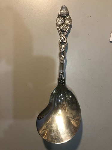 Tiffany berry casserol - berry, spoon