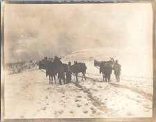 Persia, Iran, winter caravan, vintage print, ca.1890 print d&#039;era 