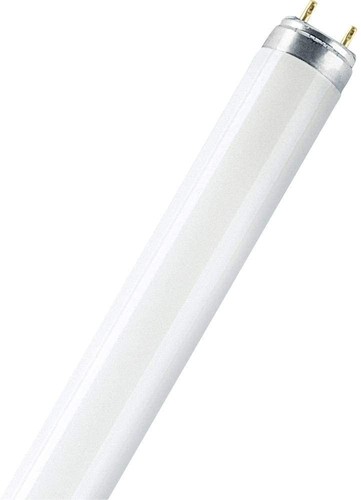 Osram substitube pièces - 10,