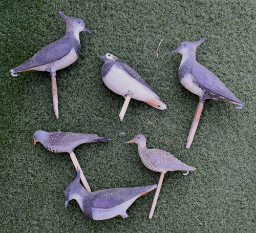 Lot appelants pour chasse - 6,