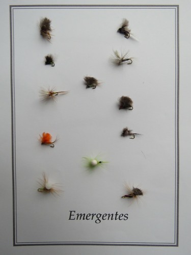 Pêche mouche lot de 12 - pêche,