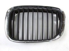51138184531 Grille Masque Rein