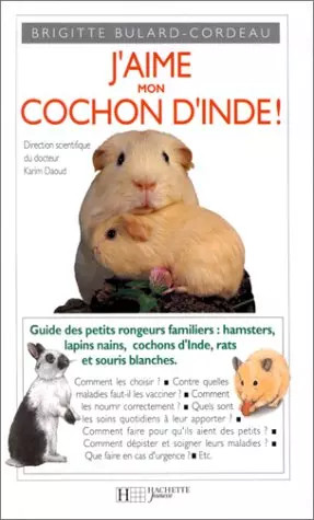 Aime mon cochon inde - j'aime,