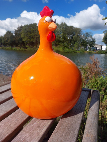Poule type line orange - type, j-line
