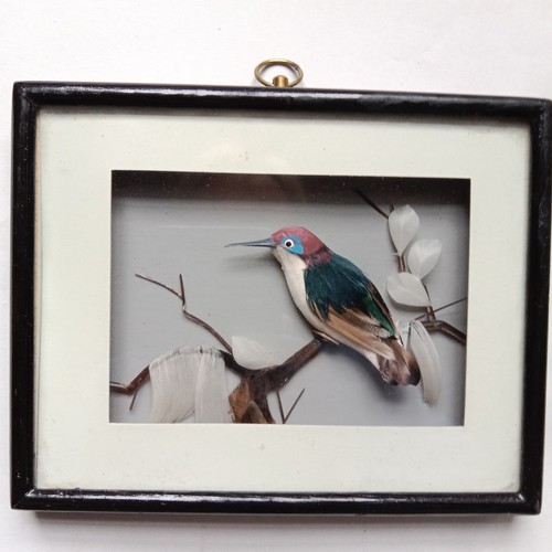 Oiseau sur une - , diorama