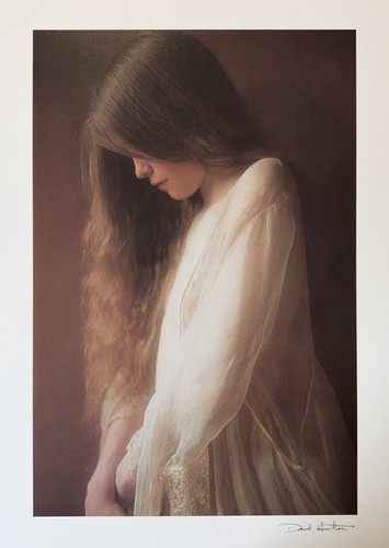 David hamilton portrait - david,