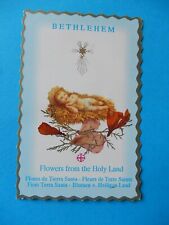 PIOUS IMAGE RELIC DRIED FLOWERS BETHLEHEM HOLY LAND NATIVITY SCENE JESUS