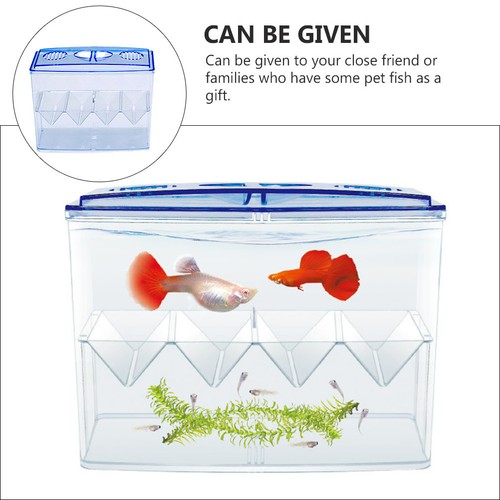 Boîte élevage poissons - boîte, d'élevage