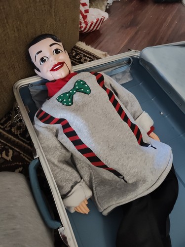 Ventriloquist dummy boy - dummy,