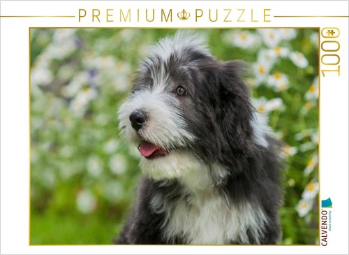 Calvendo puzzle bearded collie - bearded,