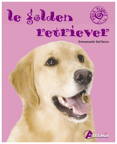 Golden retriever - golden,