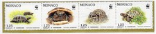 Monaco 1991 la tortue