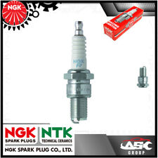 Gas Gas Wild HP Quad 300cc 03