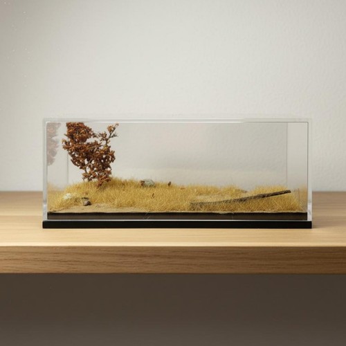 Vitrine voiture compact - 1/64,